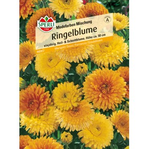Sperli Ringelblume Modefarben Mischung in Gelb- und Orangetönen.