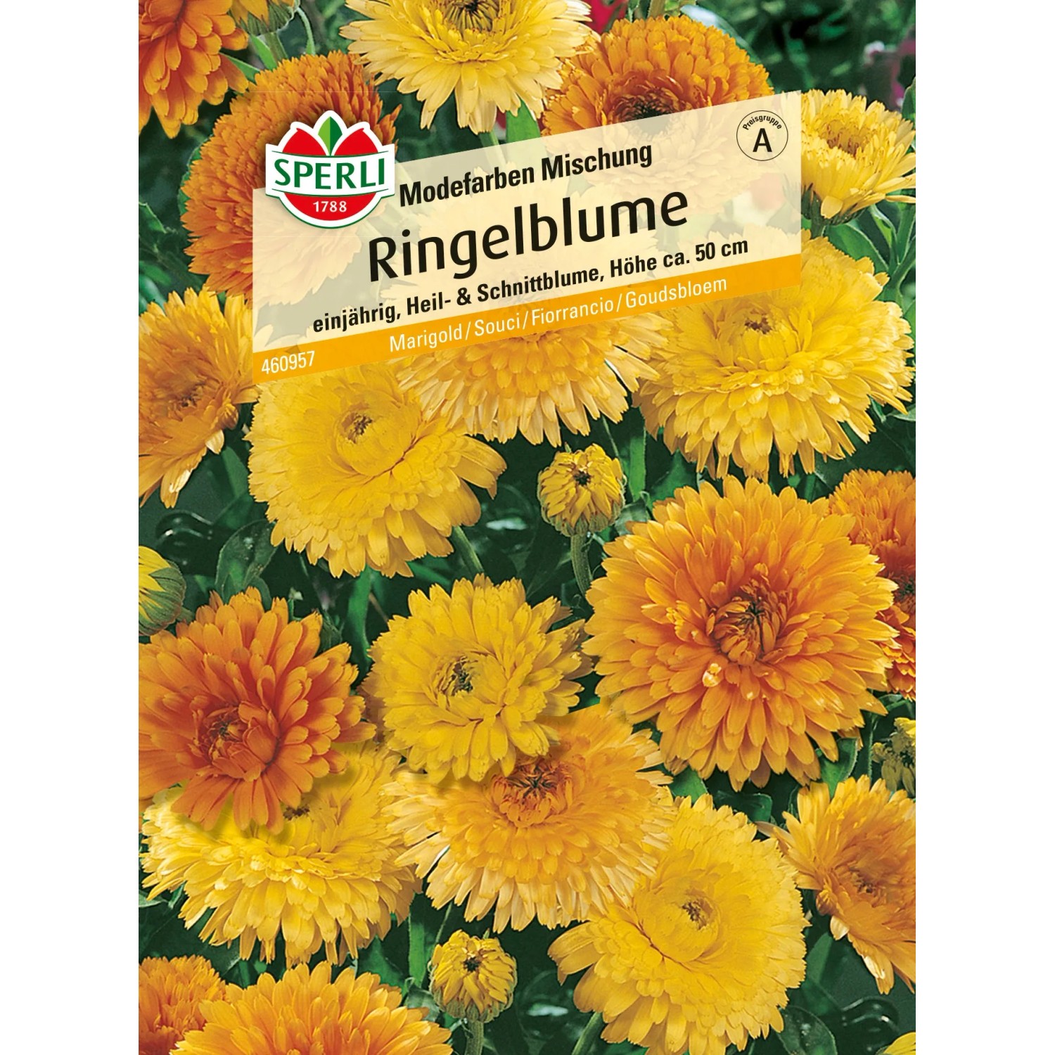 Sperli Ringelblume "Modefarben Mischung" Mehrfarbig