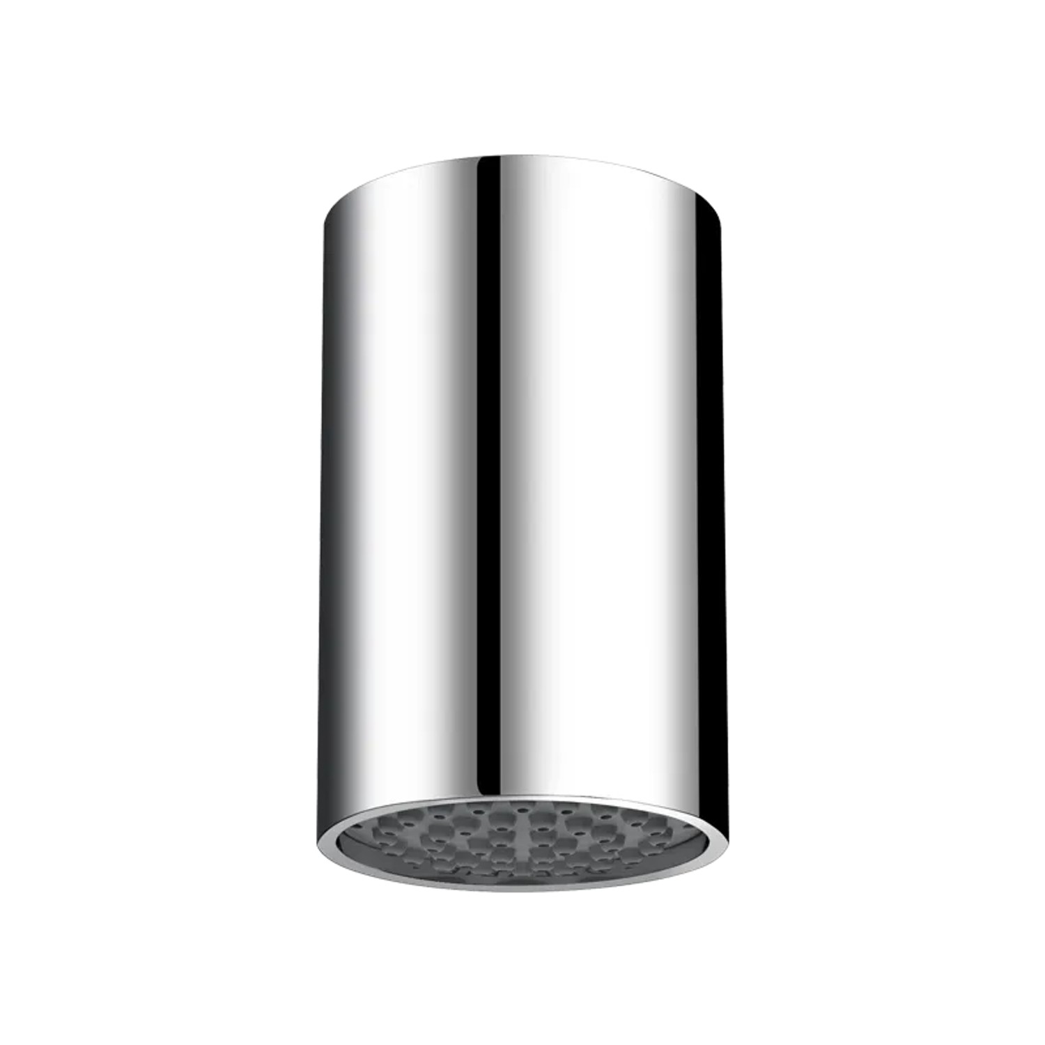 Delabie Brausekopf RAINY G1/2 für Deckenmontage