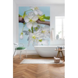 Komar Vlies Fototapete Blossom mit weißen Blüten vor blauem Hintergrund im Badezimmer.