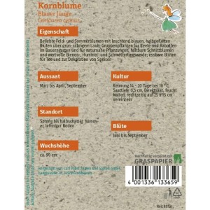 Grüne Fee Kornblume Blauer Junge Saatgut