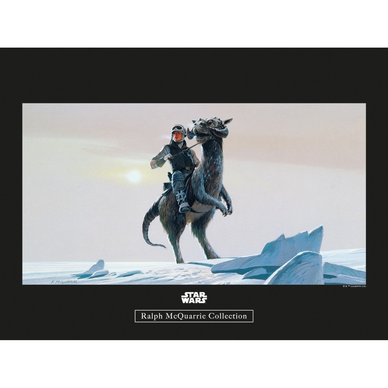 Komar Wandbild Star Wars Tauntaun 40 x 30 cm günstig online kaufen