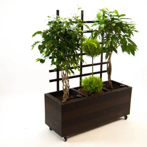 Rechteckiger, coffee-brauner Polyrattan Pflanzkübel mit Rankgitter und Pflanzen, 82x30x100 cm.