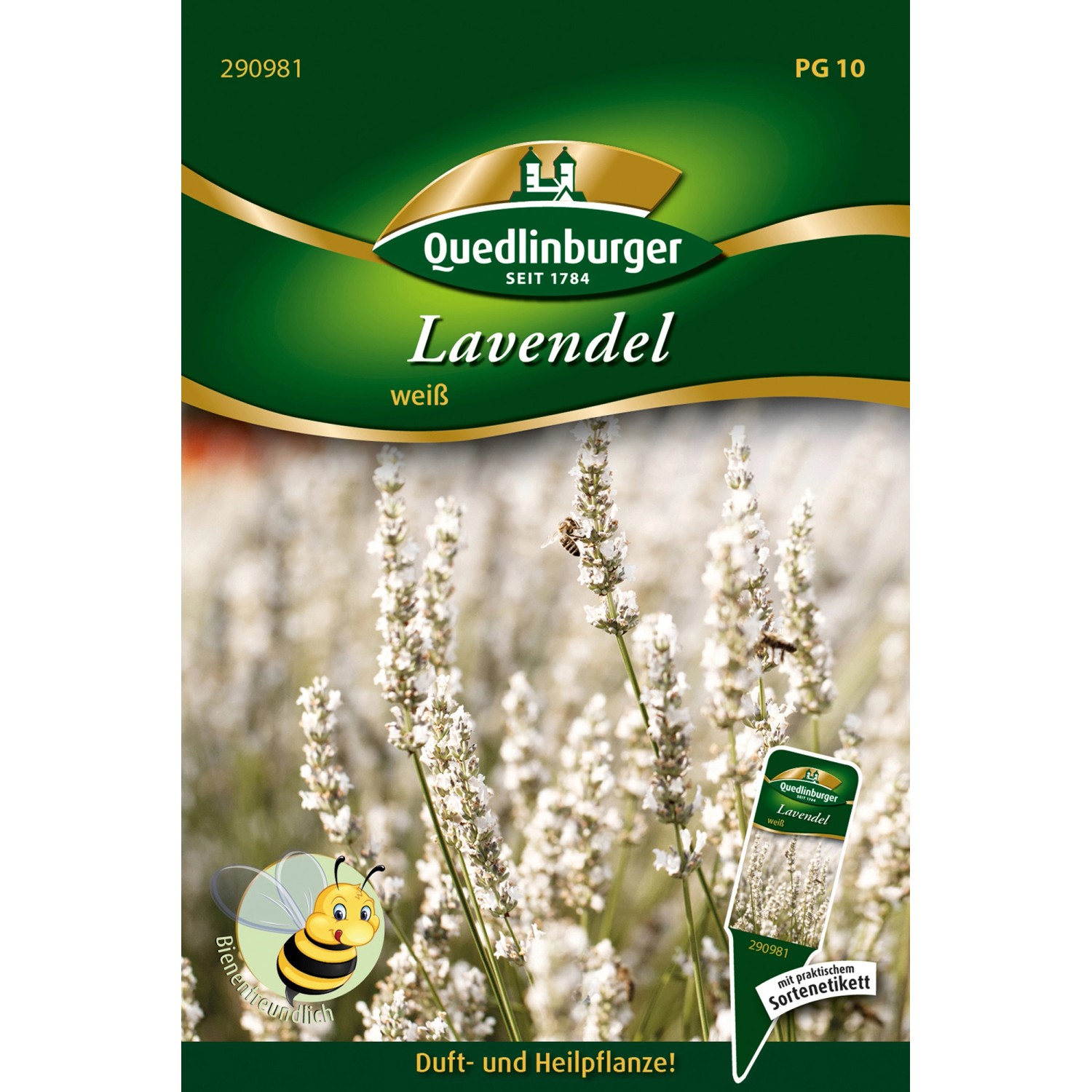 Quedlinburger Lavendel ''Ellagance Snow'' Weiß