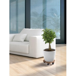 Runder, dunkelbrauner Pflanzenroller (Ø 30 cm) unter einem Topf mit Pflanze im Wohnzimmer.