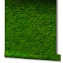 Grüne Marburg Vliestapete GZSZ Moos Floral, Rolle 10,05x0,53m, Moos-Optik für Wandgestaltung.