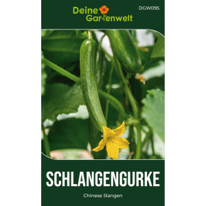 Dunkelgrüne, lange Chinese Slangen Freilandsalatgurke am Strauch mit gelber Blüte. Gemüsesamen für den Garten.