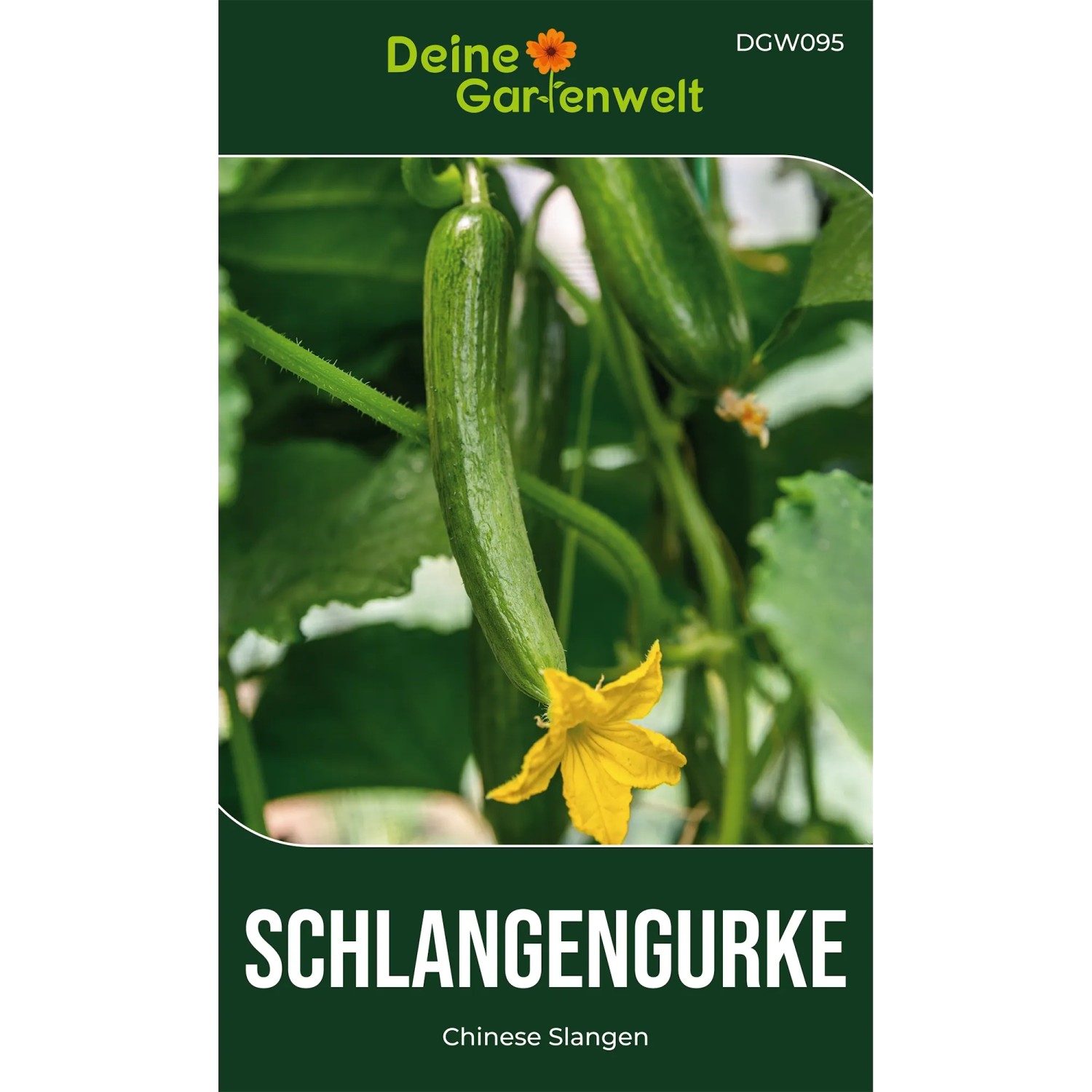 Deine Gartenwelt Freilandsalatgurken Chinese Slangen Samen