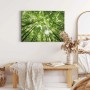 Leinwandbild mit Waldmotiv: Grüner Wald mit Sonnenstrahlen, ideal als Wanddeko.