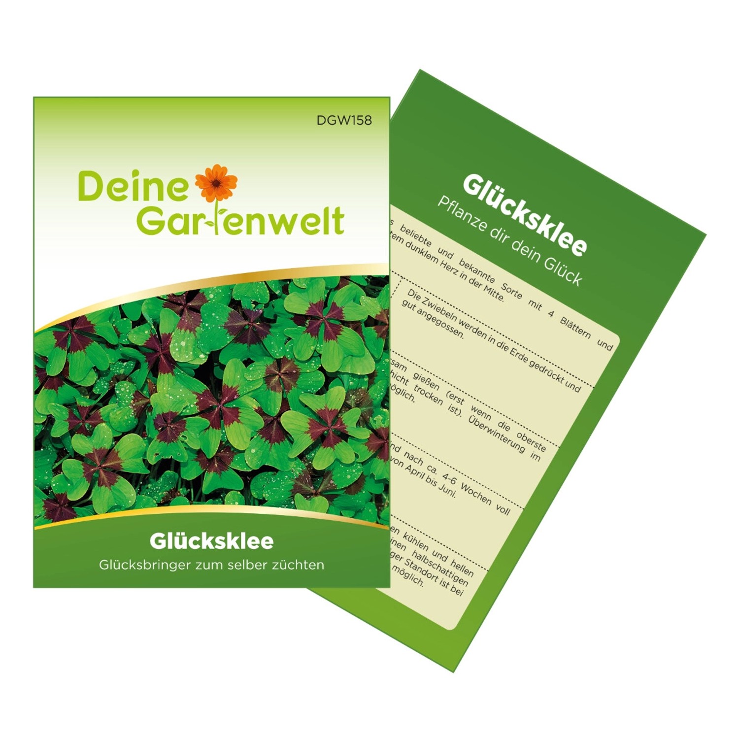 Deine Gartenwelt Glücksklee Zwiebeln Samen günstig online kaufen