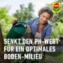 Frau gießt Hortensien mit Compo Vital Dünger. Spezialdünger für Rhododendren und Moorbeetpflanzen.