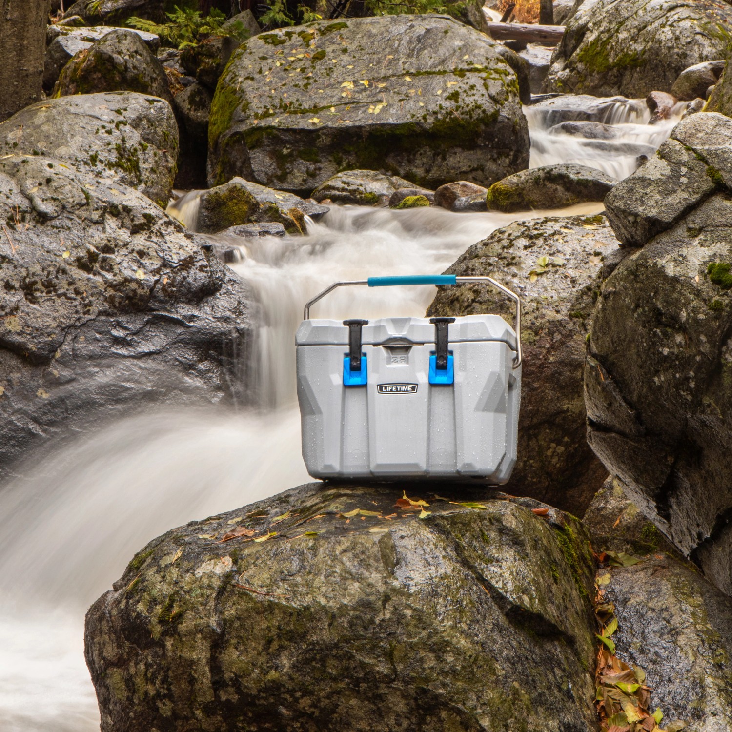 Graue Lifetime Kühlbox (26,5L) mit blauem Griff und Verschlüssen vor Wasserfall.