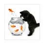 Banjado Schlüsselkasten Glas 30x30cm, Motiv Katze und Fisch. Weißer Kasten mit 50 Haken, beschreib- und magnetisch.