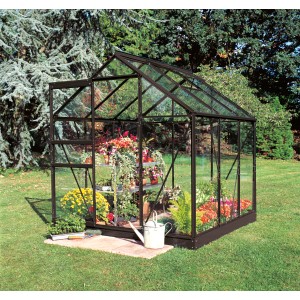 Schwarzes Halls Gewächshaus Popular 66 mit Pflanzen und Gießkanne im Garten.