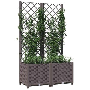 Brauner Pflanzkübel aus PP mit Rankgitter, bepflanzt mit grünen Kletterpflanzen. Für Garten, Balkon & Terrasse.