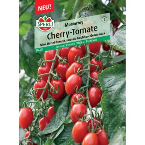 Sperli Cherrytomate Monterrey F1-Hybride mit roten, pflaumenförmigen Früchten.