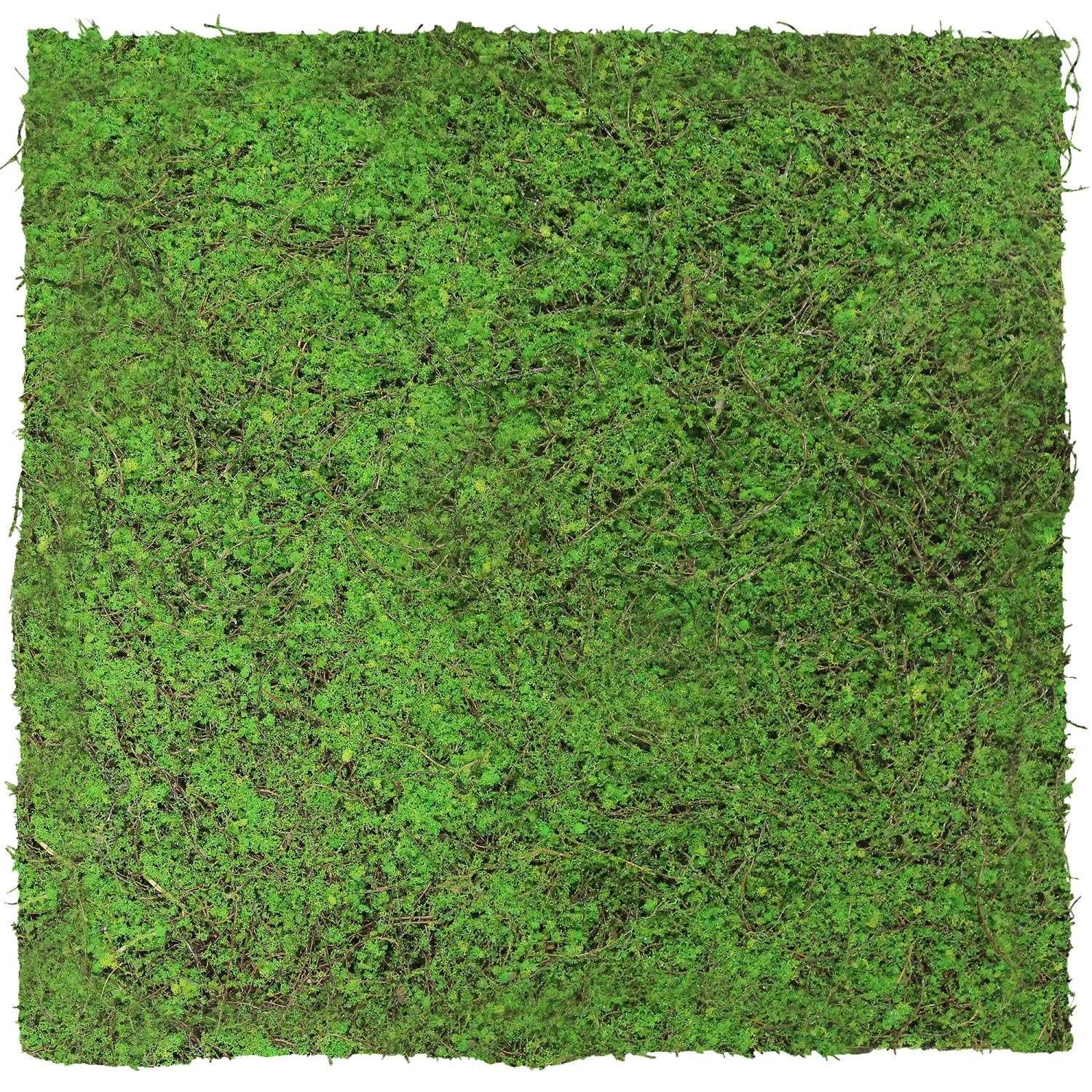 Jangal Wandpaneel Modular Wall Forest Green Ancient Tree 52 x 52 cm günstig online kaufen