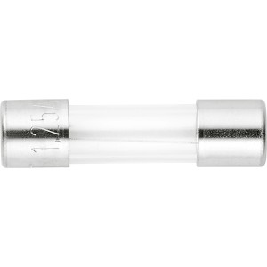 Feinsicherung 1,25 A, träge, 2 Stück, mit Glasrohr und silbernen Endkappen.