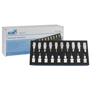 PROREGAL Werkzeugsatz für Werkstattwagen, 19-teilig, mit Innensechskant/Innensechsrund in Schaumstoffeinlage.