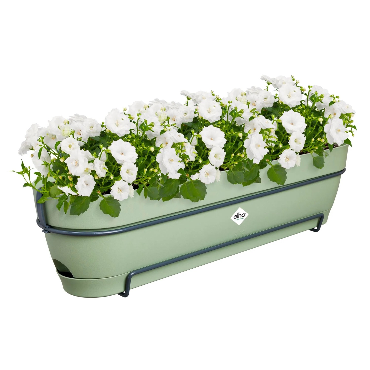 Elho Balkonkasten Vibia Campana, 70 cm, grün, mit weißen Blumen. Ideal für Balkongeländer.