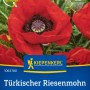 Kiepenkerl Türkischer Riesenmohn Olympiafeuer mit leuchtend roten Blüten.