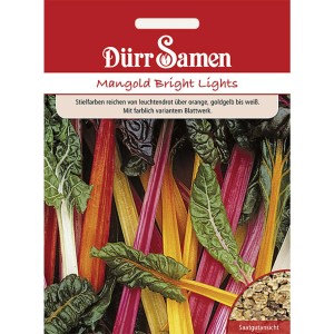 Dürr Samen Mangold Bright Lights: Saatgut mit farbenfrohen Stielen in Rot, Orange, Gelb und Weiß.