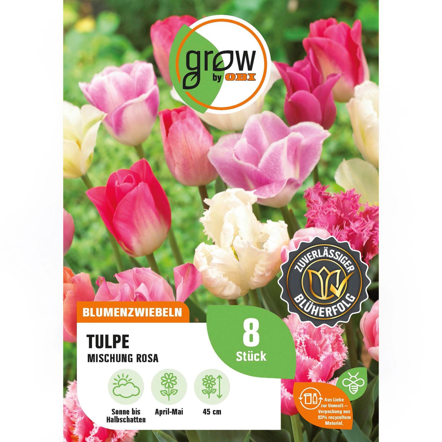 GROW by OBI Tulpen Triumph Mischung Rosa 8 Stück Tulipa triumph Mixed Rosa günstig online kaufen