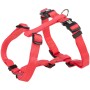 Jollypaw H-Geschirr aus Gurtband, 50-75 cm, lachsfarben, für Hunde.