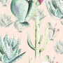 Komar Fototapete Vlies Cactus Rose, 100x250cm, mit Kakteen und floralem Muster.