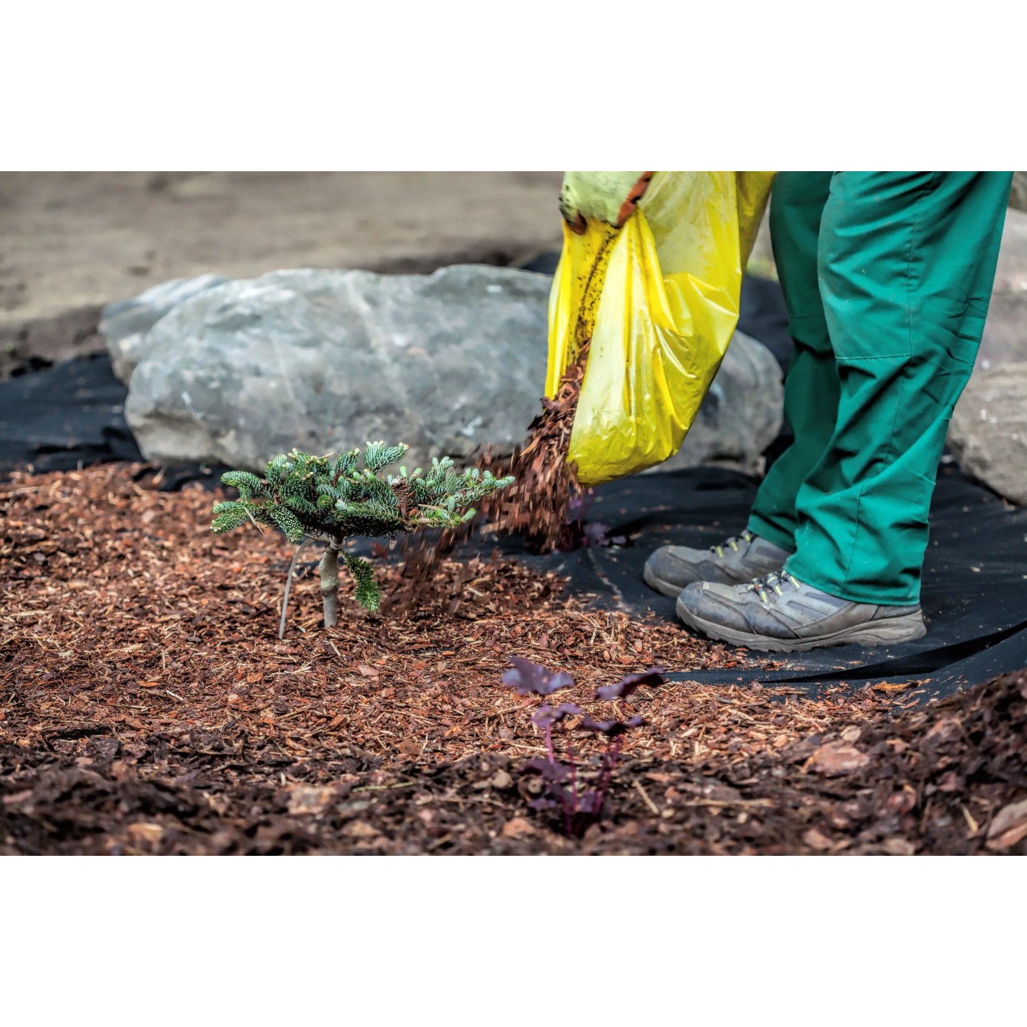 Verlegen von Aquagart Unkrautvlies 150g im Garten mit Rindenmulch.