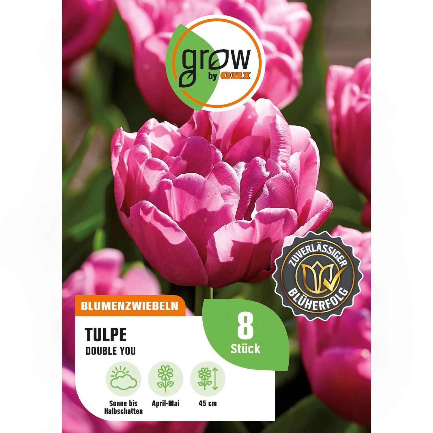 GROW by OBI Tulpe Double You Violet 7 Stück Tulipa double,ate Double You