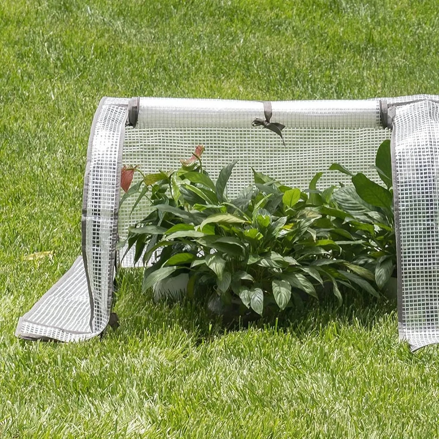 Halbtransparentes WOLTU Foliengewächshaus (130x60x50 cm) mit Pflanzen im Garten.