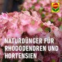 Nahaufnahme rosa blühender Rhododendren, beworben wird Compo Bio Rhododendron Langzeit-Dünger.