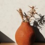 Beige Vliestapete in Putzoptik von Marburg mit Vase und Trockenblumen vor der Tapete.
