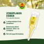 Compo Zitruspflanzen Aufbaukur 30ml: Aufbaukur für gesunde Zitruspflanzen.