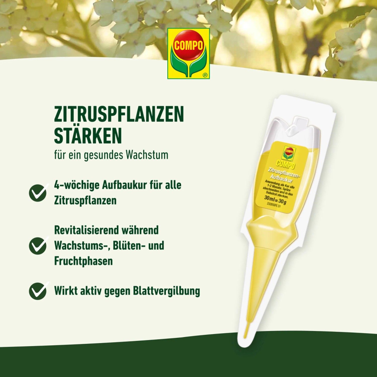 Compo Zitruspflanzen Aufbaukur 30ml: Aufbaukur für gesunde Zitruspflanzen.