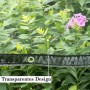 Transparente WOLTU PVC Abdeckplane 3x4m mit Ösen, schützt Pflanzen im Garten.