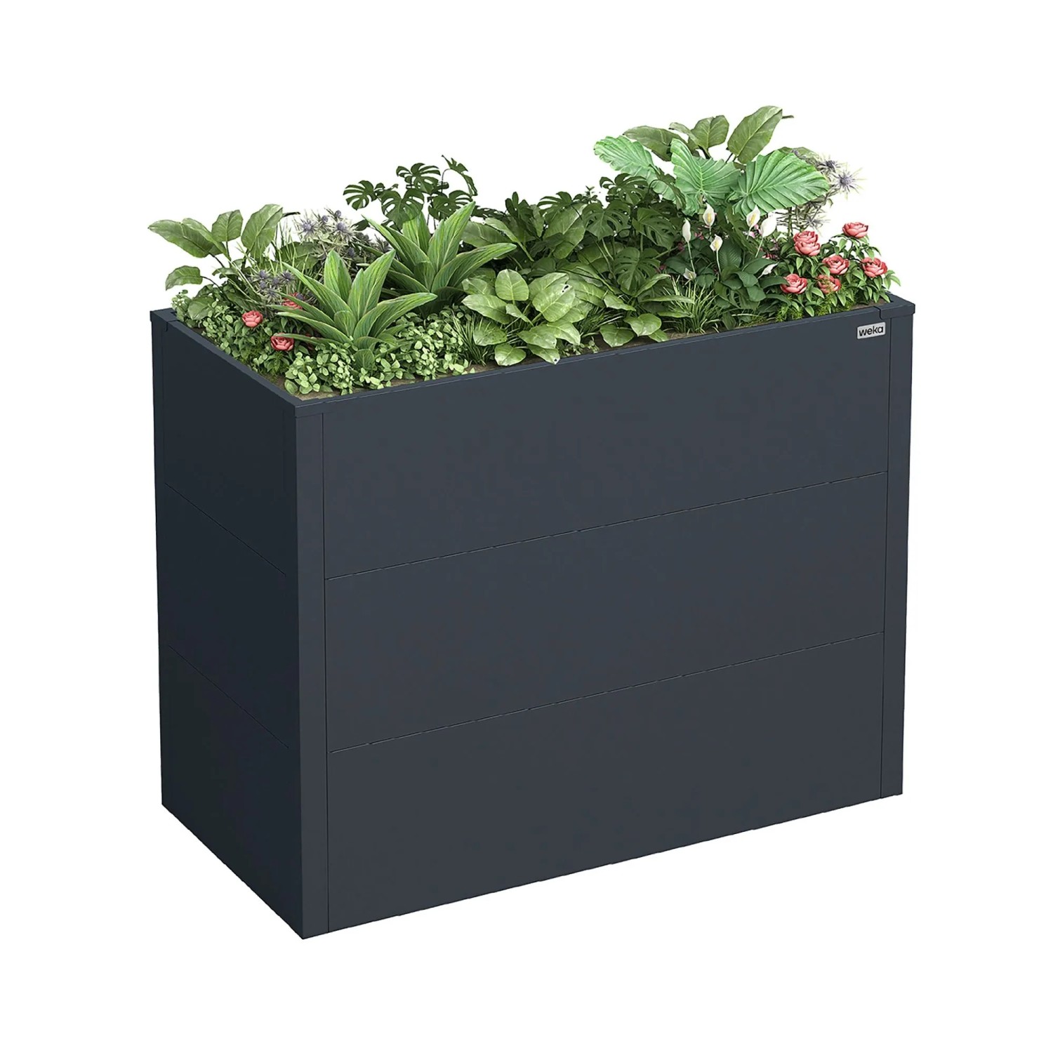 weka Metall-Hochbeet Gary M, 100 x 50 x 77 cm, Metall, Anthrazit
