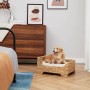 Hund liegt entspannt im Korbweide Hundekörbchen von Teamson Pets mit erhöhtem Rand.