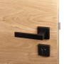 SOTECH Türdrückergarnitur CUBE Schwarz Rosette Profilzylinder Knauf mit Befestigungsmaterial_3