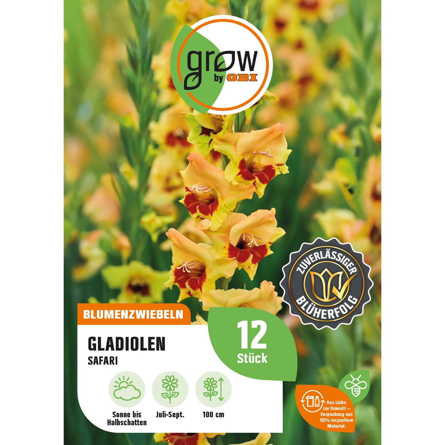 GROW by OBI Gladiole Safari Höhe ca. 100 cm Gladiolus garndiflorus günstig online kaufen