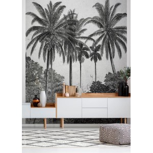 Fototapete Palmen (300x200 cm) im Raum, schwarz-weißes Palmenmotiv.