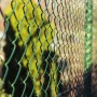 Grüner Karat Maschendrahtzaun, 1,5x25m, mit 6x6cm Maschen für Garten & Grundstück.