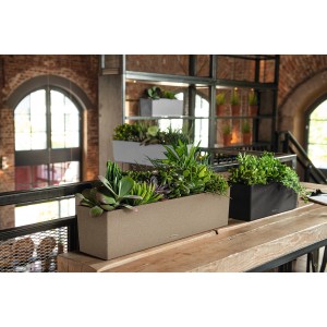 Lechuza Balconera Stone 80, sandbeige, bepflanzter Blumenkasten mit Bewässerungssystem.