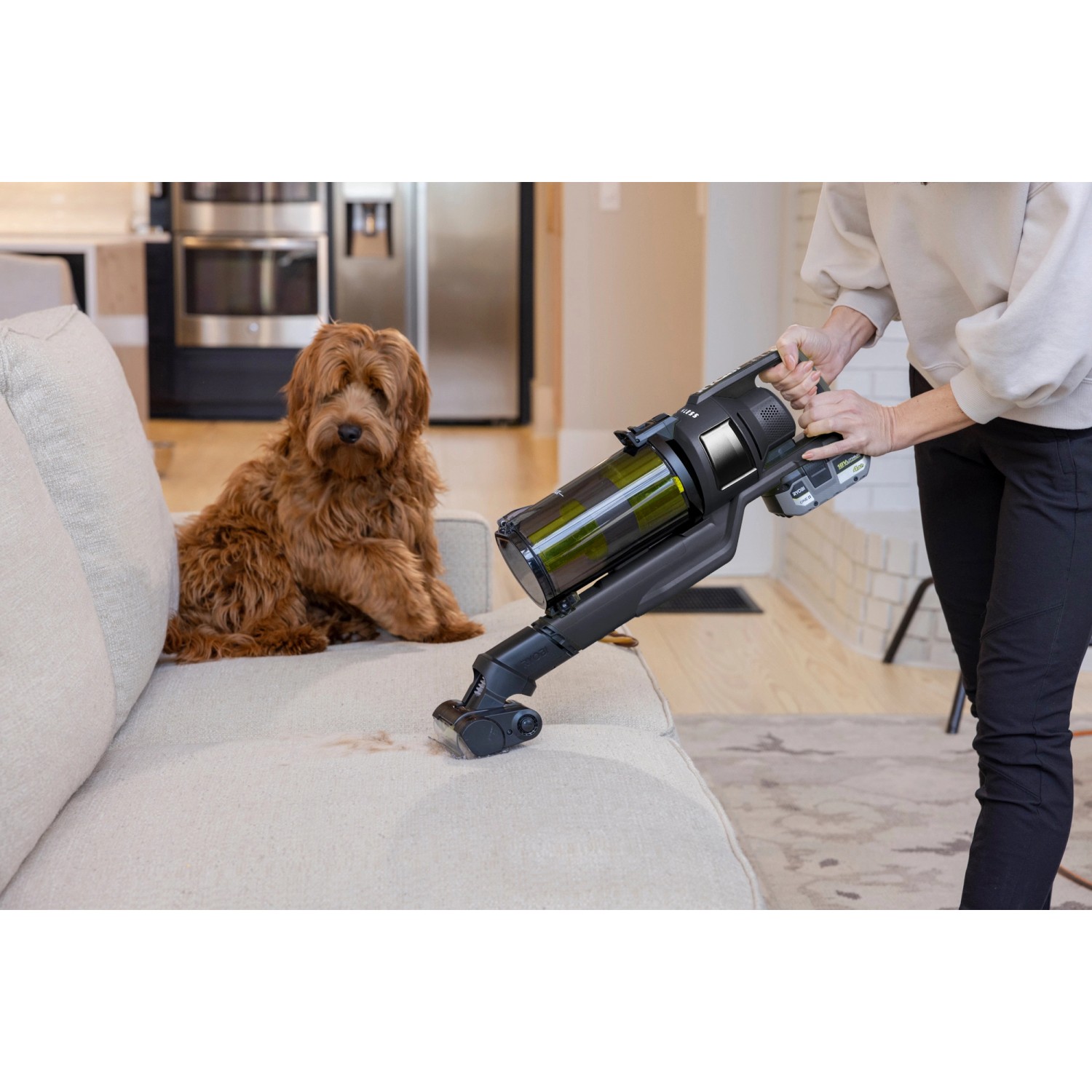 Ryobi Akku-Staubsauger RSVS18BL-0 beim Reinigen eines Sofas mit Hund im Hintergrund.