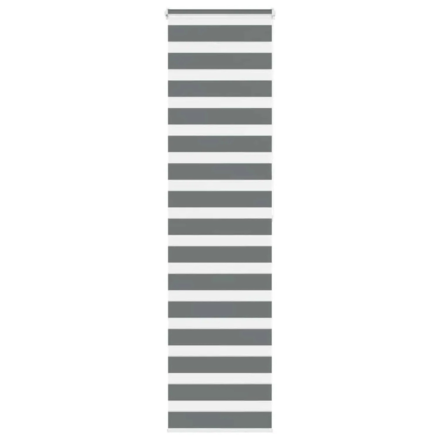 vidaXL Doppelrollo Dunkelgrau 55x200 cm Stoffbreite 50,9 cm Polyester 40141 günstig online kaufen