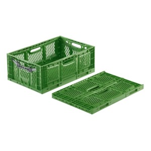 Grüne Ernte-Klappbox (40x30x18cm) mit grauem Griff, offen und zusammengeklappt.