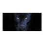 Banjado Magnettafel mit Panther Motiv Nora, 78x37cm, weiße Magnetwand für Notizen und Fotos.