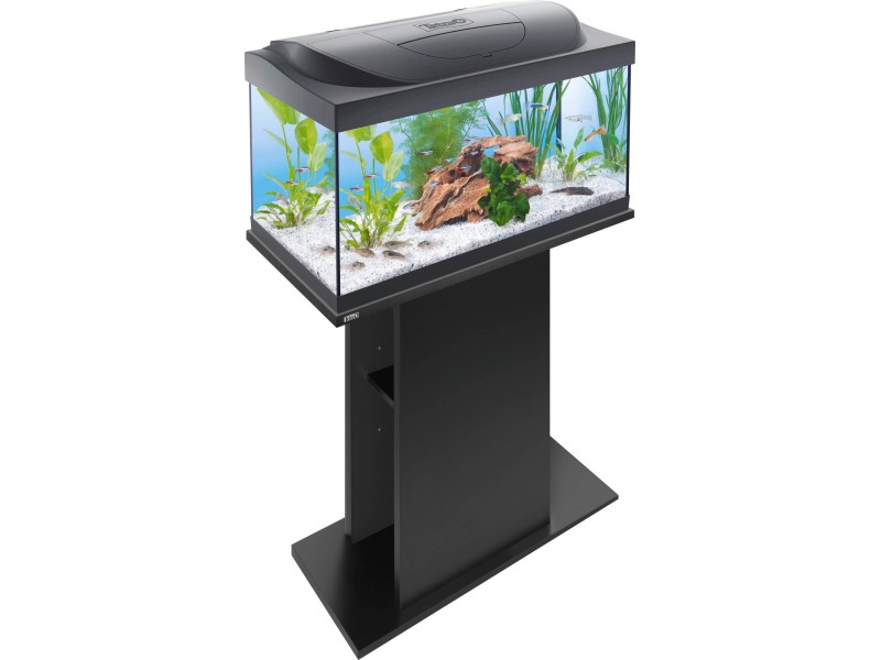 Tetra Starter Line 54L Complete Aquarium Set with LED Day/Night Lighting -  Olibetta