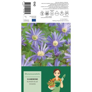 Anemone Blue Shades Mischung, 10 Stück. Blaue Windröschen Blumenzwiebeln für den Garten.